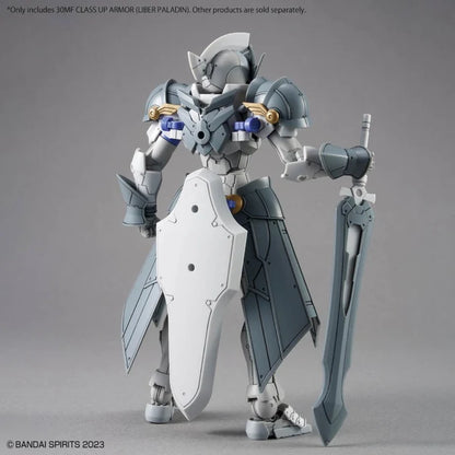 30 Minute Fantasy: Class Up Armor Liber Paladin